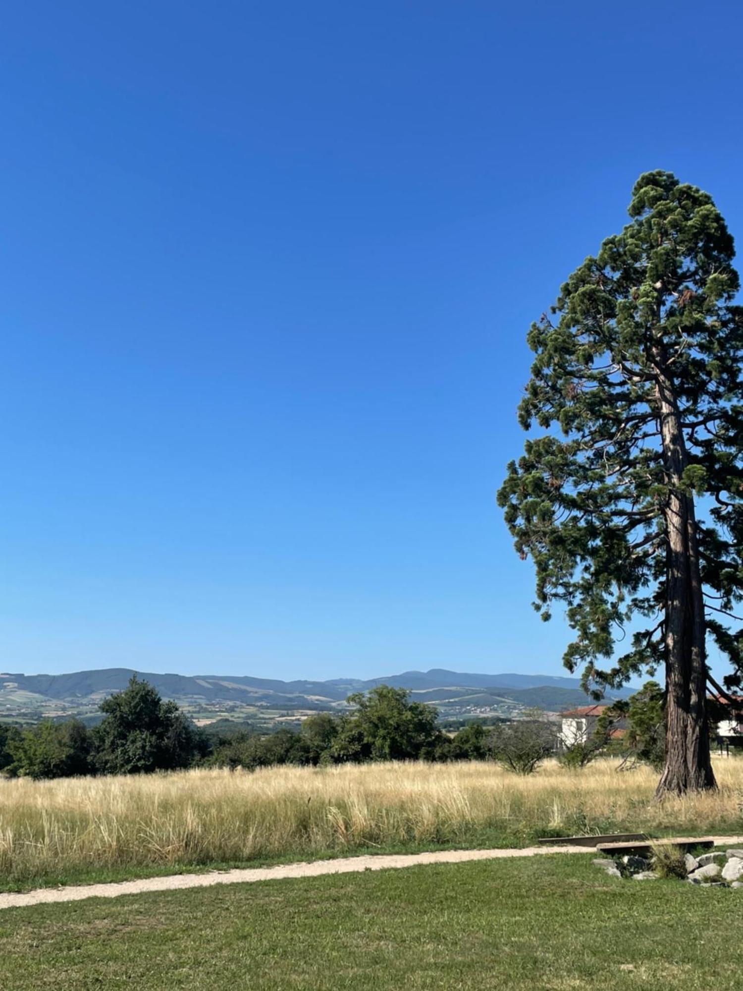 Maison De Village Coeur Andeol Saint-Andeol-le-Chateau Εξωτερικό φωτογραφία
