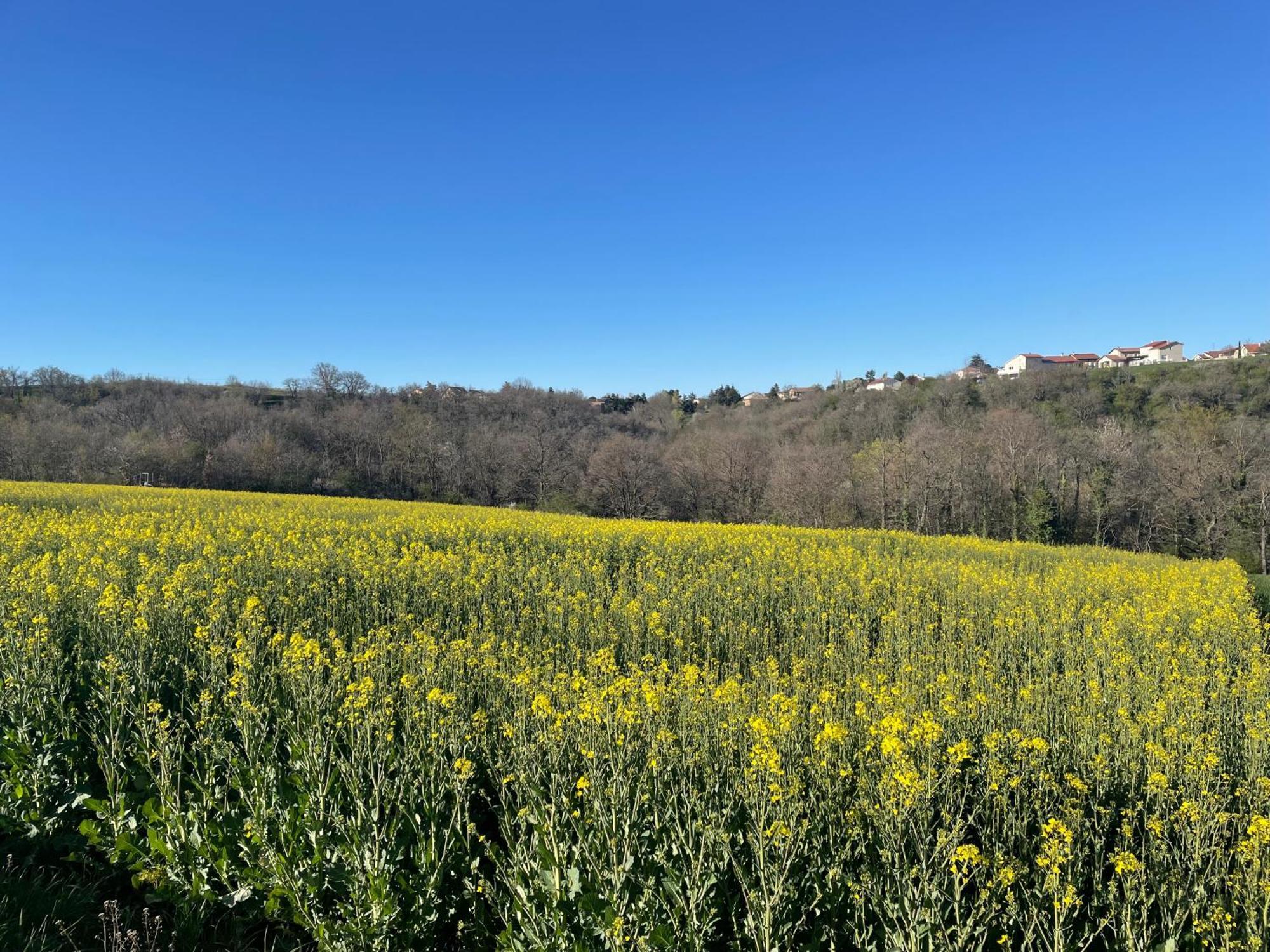Maison De Village Coeur Andeol Saint-Andeol-le-Chateau Εξωτερικό φωτογραφία